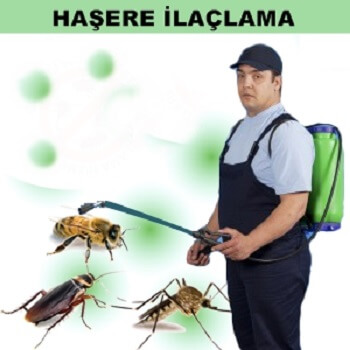 Ahlat Böcek İlaçlama